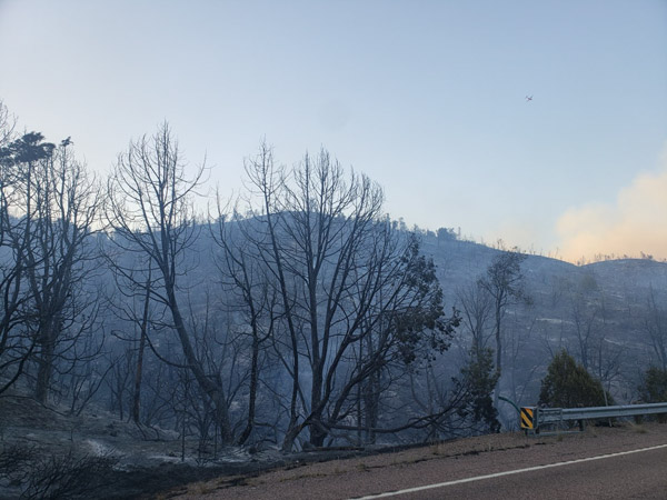 Damage caused by the Flying V Fire PHOTO Credit: White Mountain Apache Police Department